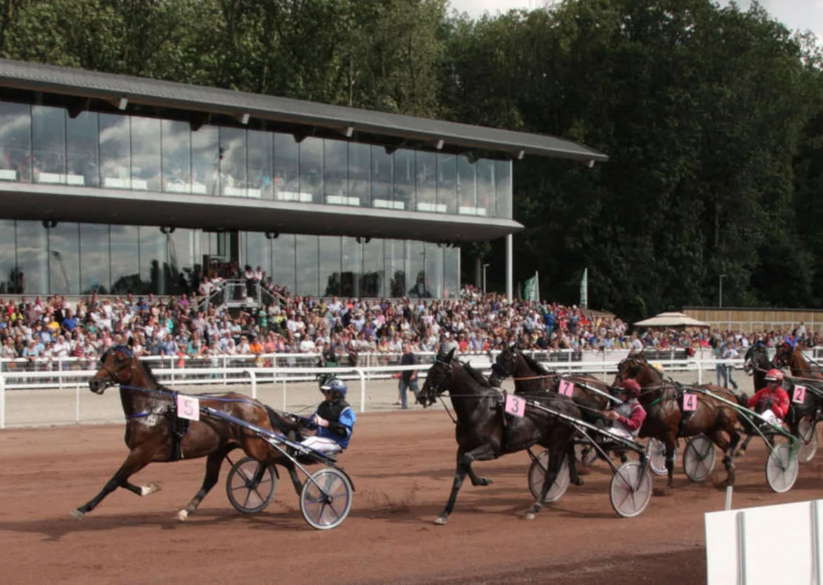 Course hippique à l'hippodrome de Wallonie