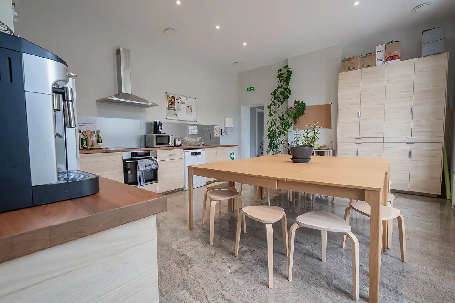 Cuisine moderne avec table en bois clair, chaises assorties, plantes vertes, et appareils électroménagers en acier inoxydable.