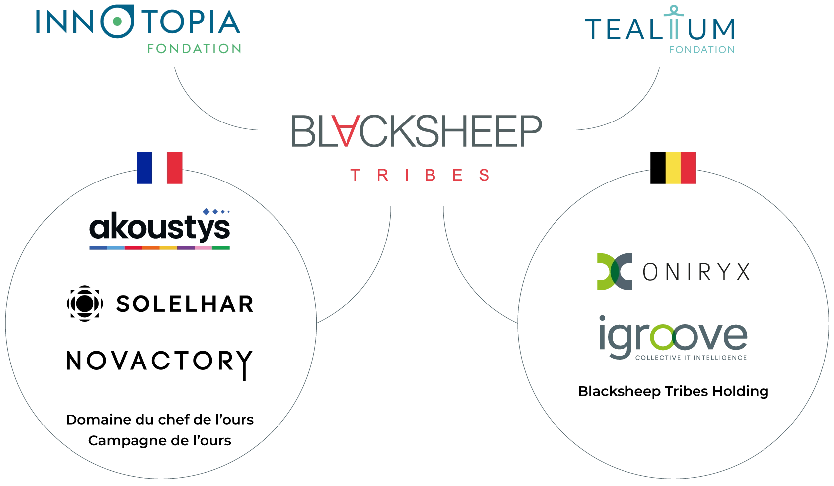 Schéma Blacksheep avec logos de sociétés françaises et belges, incluant Innoptopia, Tealium, Solelhar, et d'autres sous les drapeaux français et belge.